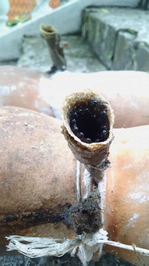 Meson Yohualichan Cuetzalan Ngoại thất bức ảnh