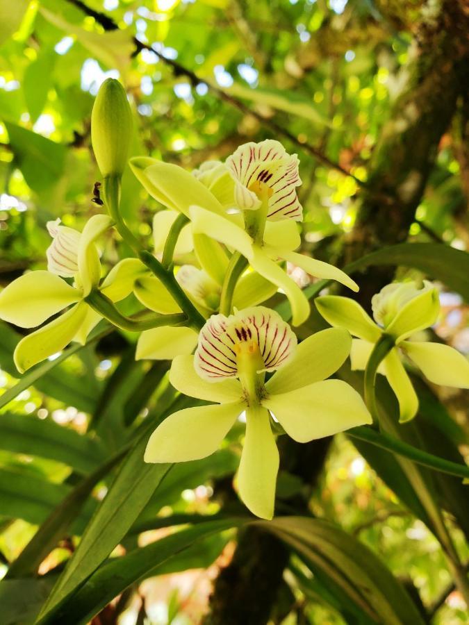 Meson Yohualichan Cuetzalan Ngoại thất bức ảnh