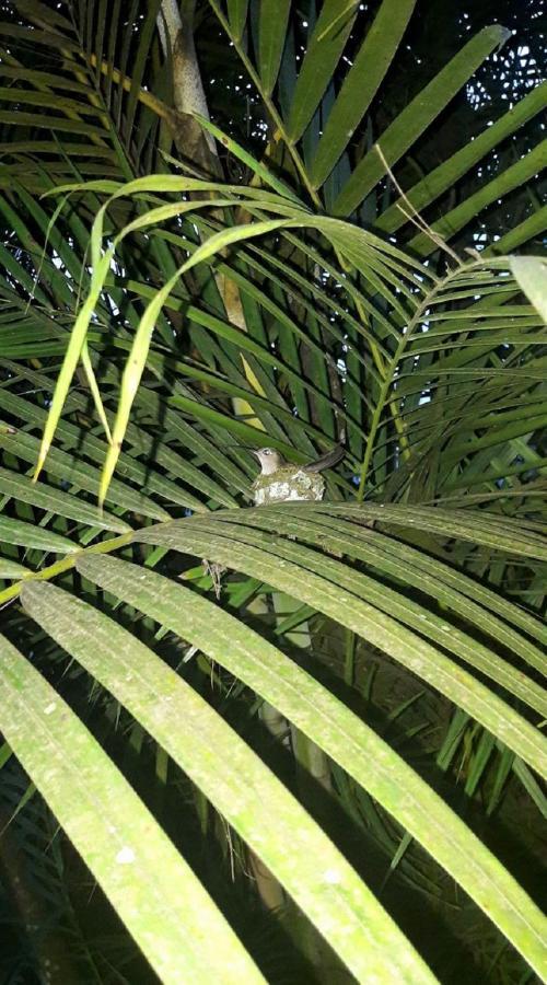 Meson Yohualichan Cuetzalan Ngoại thất bức ảnh