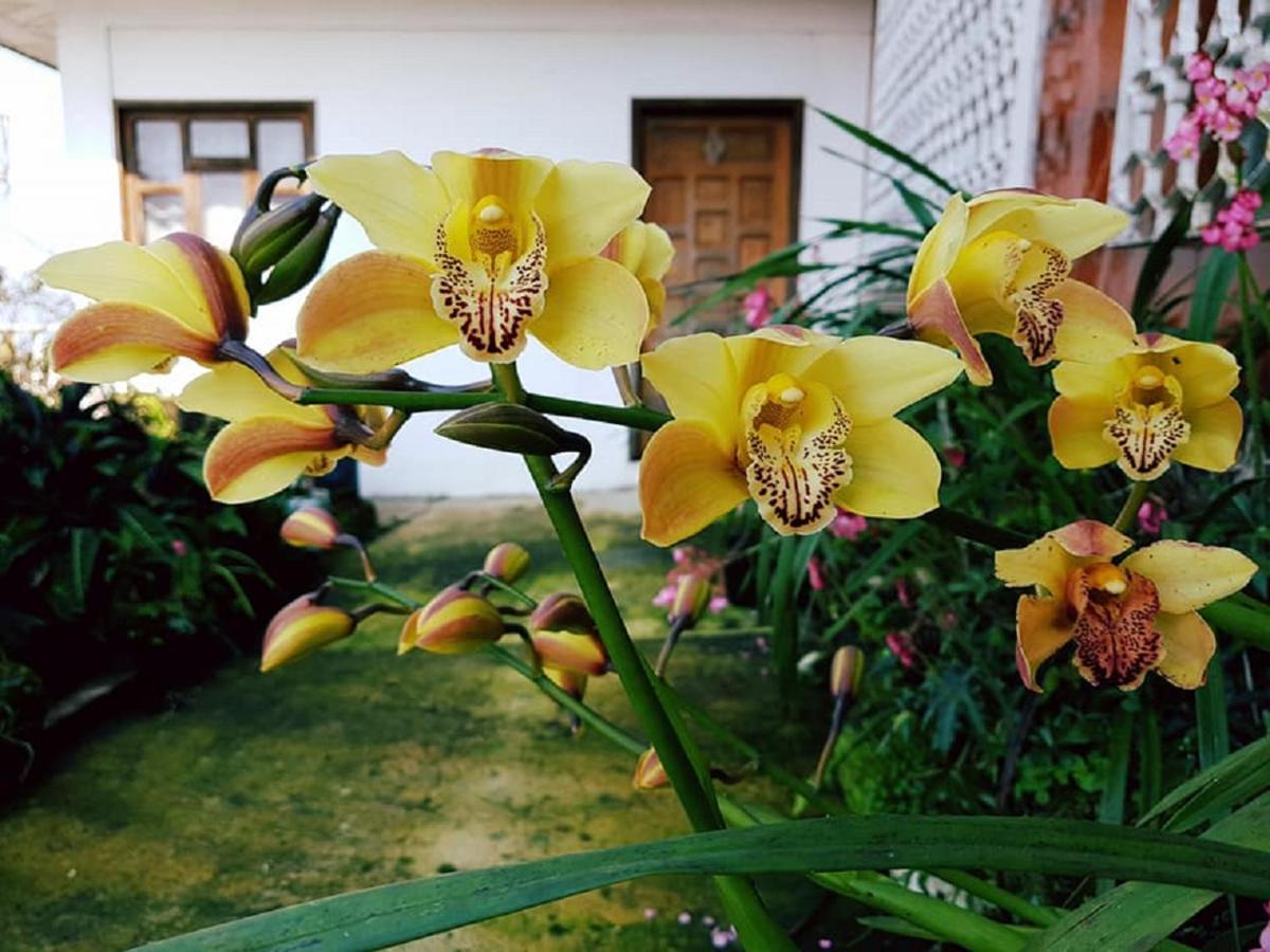 Meson Yohualichan Cuetzalan Ngoại thất bức ảnh
